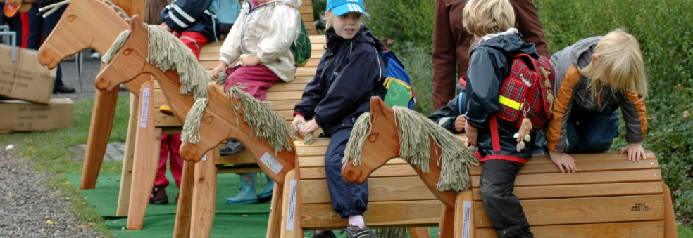 Moro med ponni i Aurdal